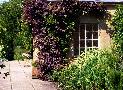 gal/holiday/Yeovil Area 2007 - Tintihull Gardens/_thb_Tintinhull_Gardens_P1010045.jpg